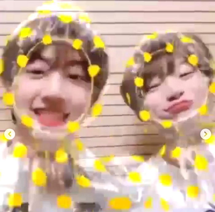 인사이트