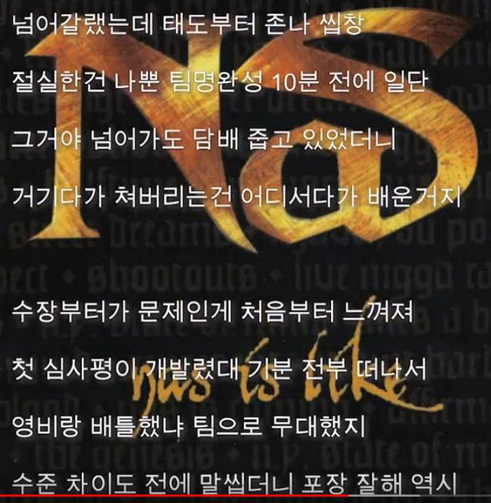인사이트