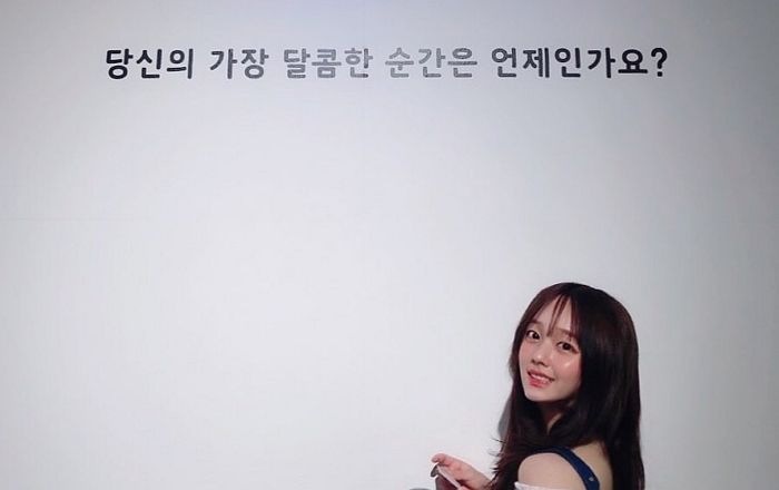 인사이트