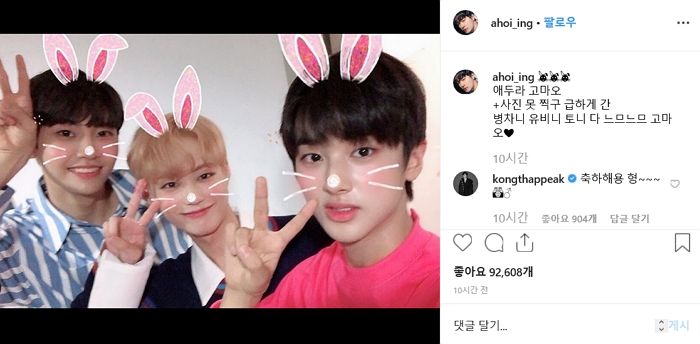 인사이트