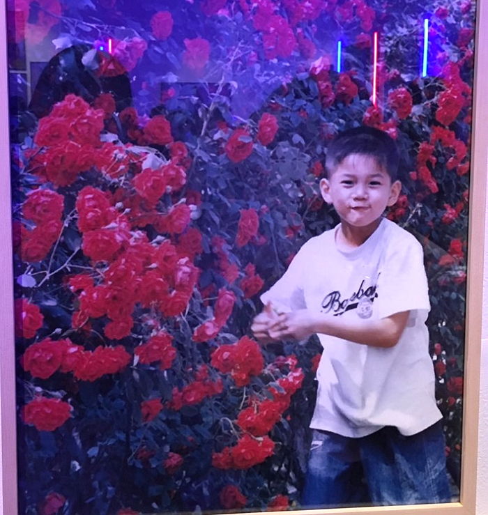 인사이트