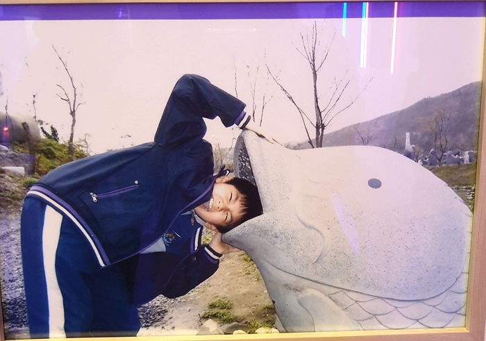 인사이트