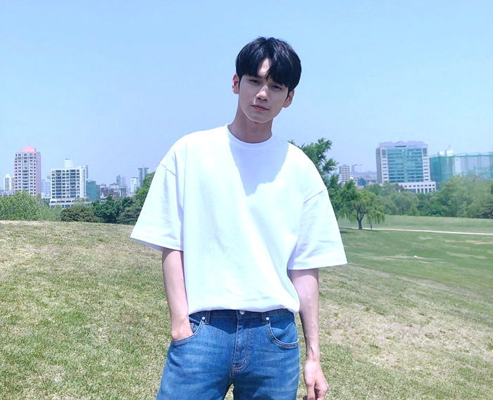 인사이트