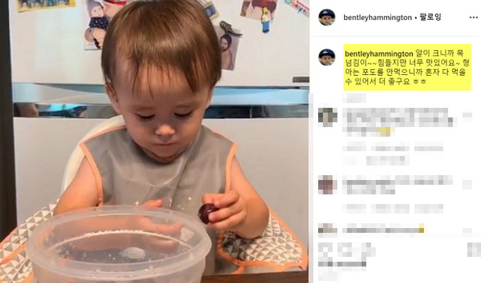 포도 오물오물 맛보다가 신맛에 ‘두 눈’ 질끈 감아버린 ‘세젤귀’ 벤틀리