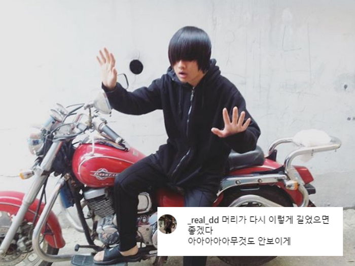 인사이트