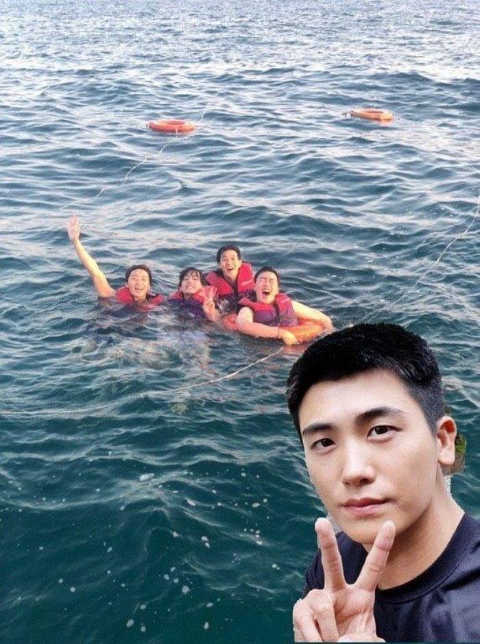 인사이트