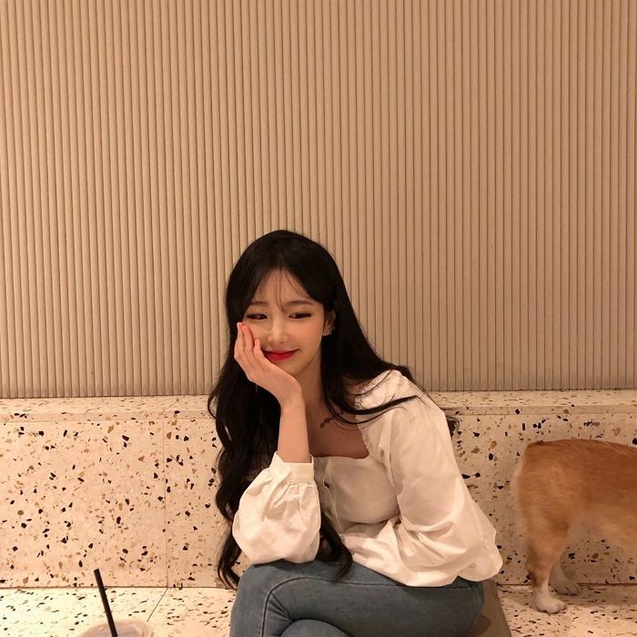 인사이트
