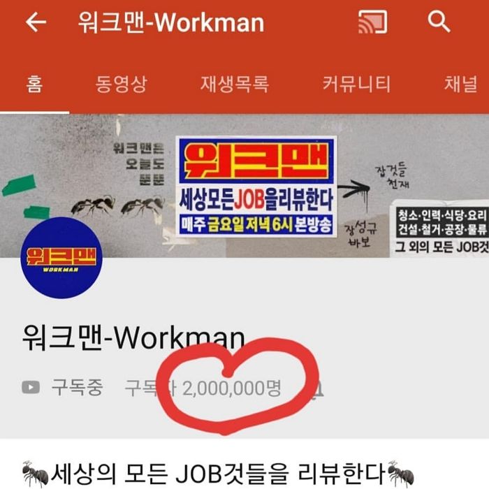 인사이트