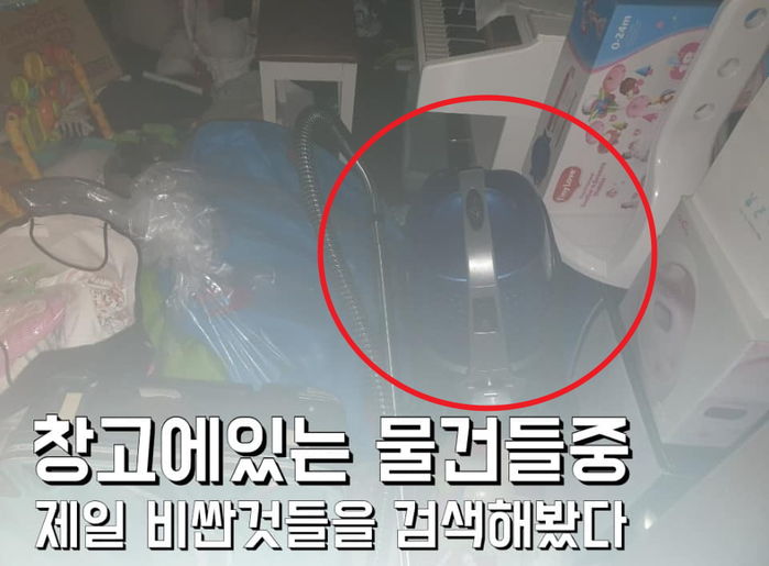 인사이트