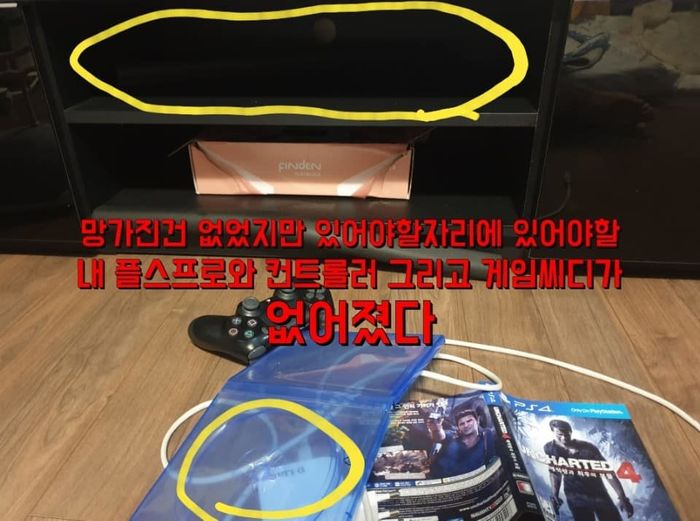 인사이트