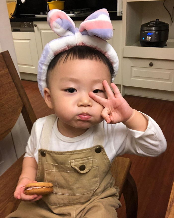인사이트