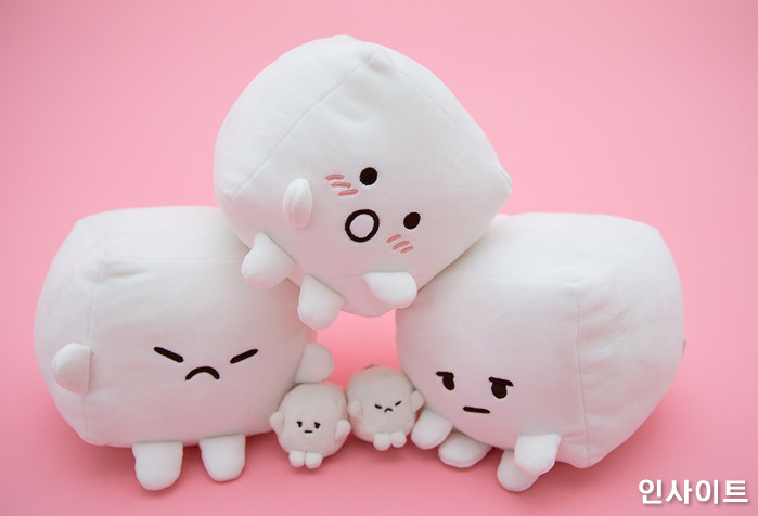 인사이트 / 사진=박찬하 기자 chanha@