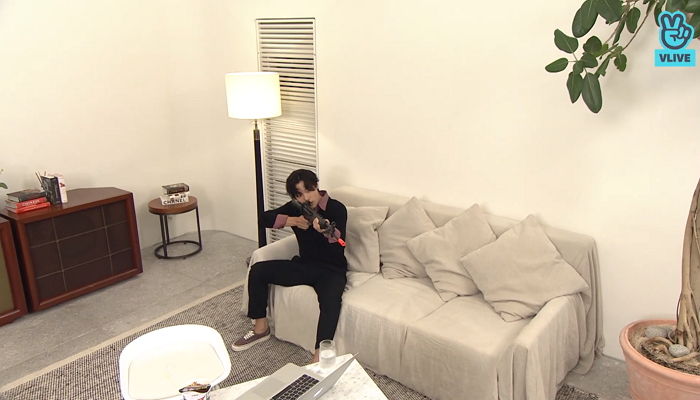 인사이트