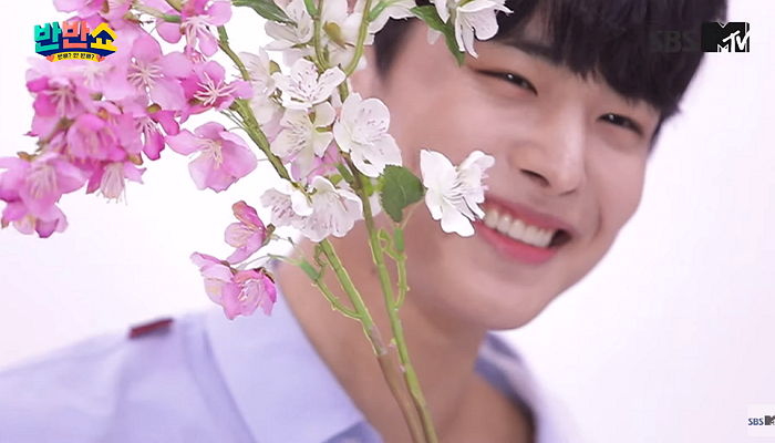 인사이트