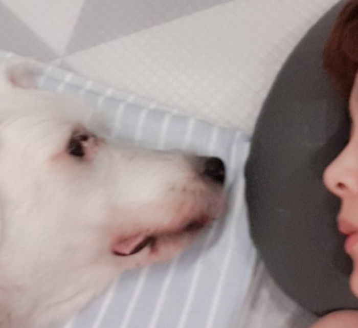 ‘14년’ 키운 반려견 죽은 뒤 김원희가 SNS에 남긴 ‘슬픈글’