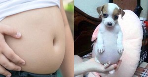 포동포동 이미지