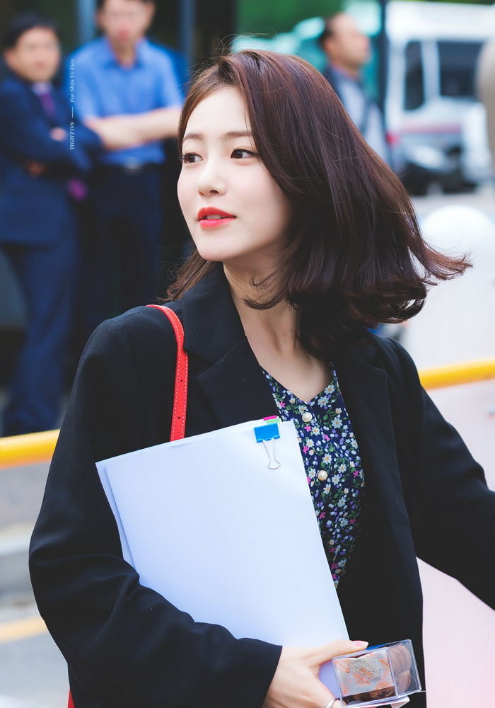 인사이트