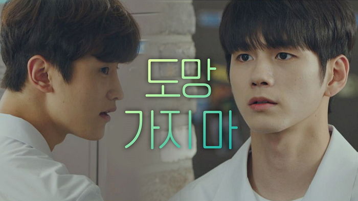 인사이트