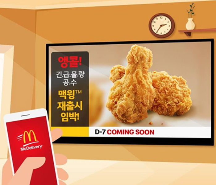 인사이트