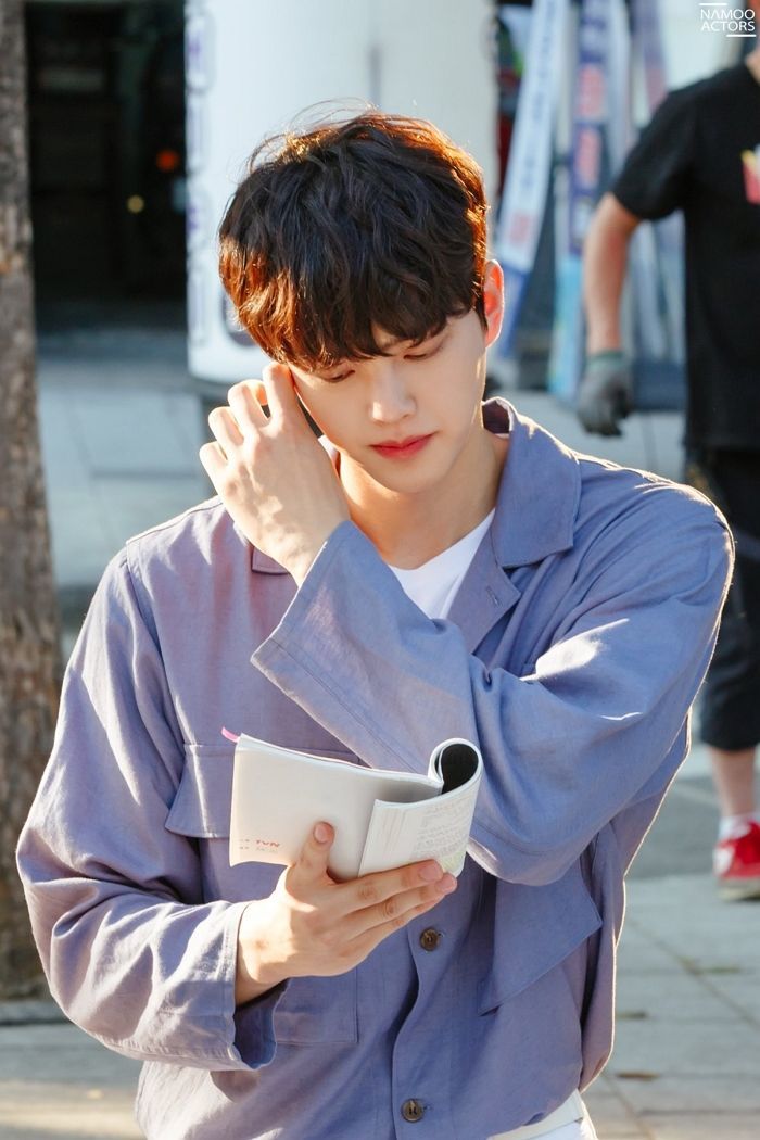 인사이트