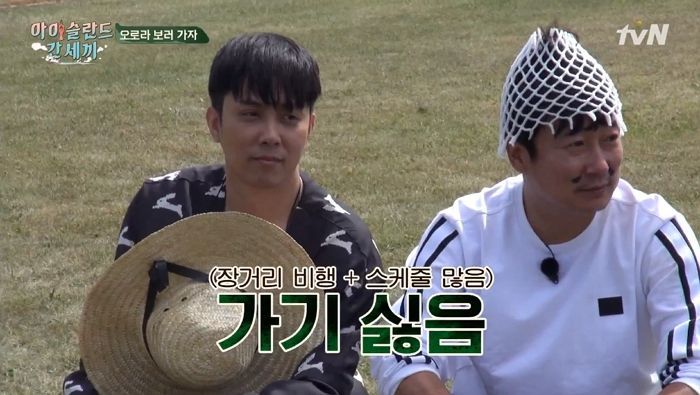 인사이트