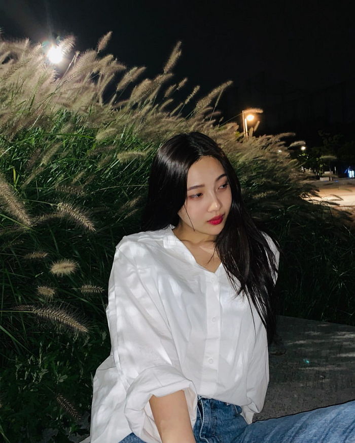 인사이트