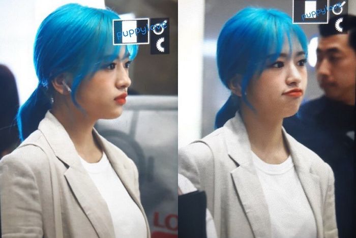 인사이트