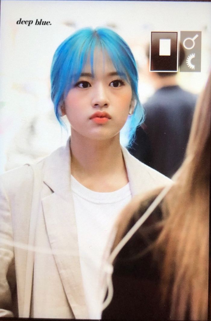 인사이트