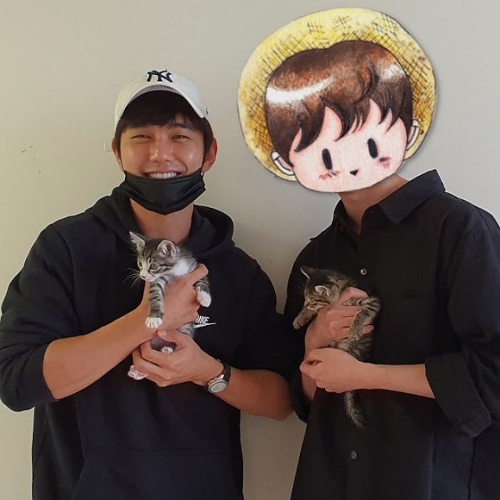 인사이트