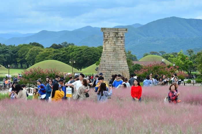 가을에 가면 ‘인스타 감성’ 폭발하는 경주 ‘황리단길’ 핫플레이스 카페 6곳