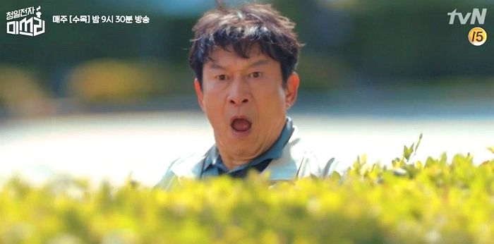 인사이트