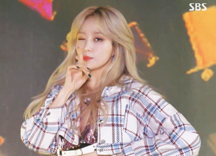 인사이트