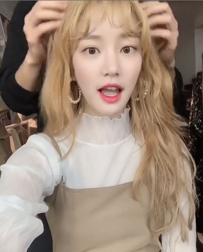 인사이트