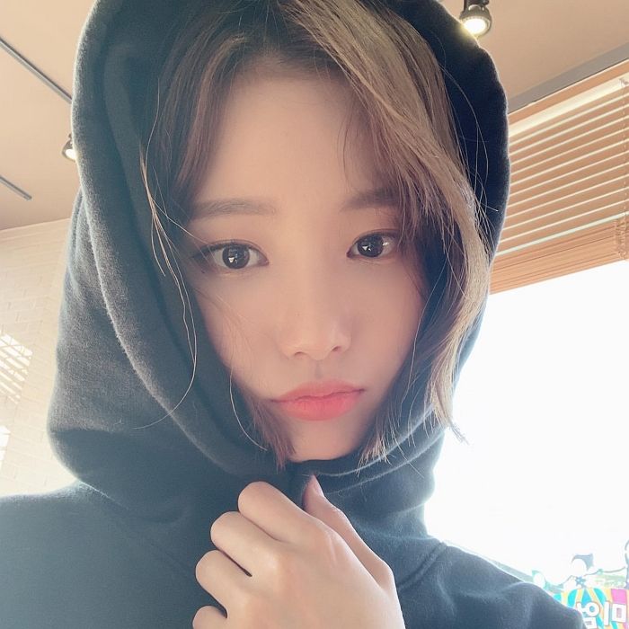 인사이트