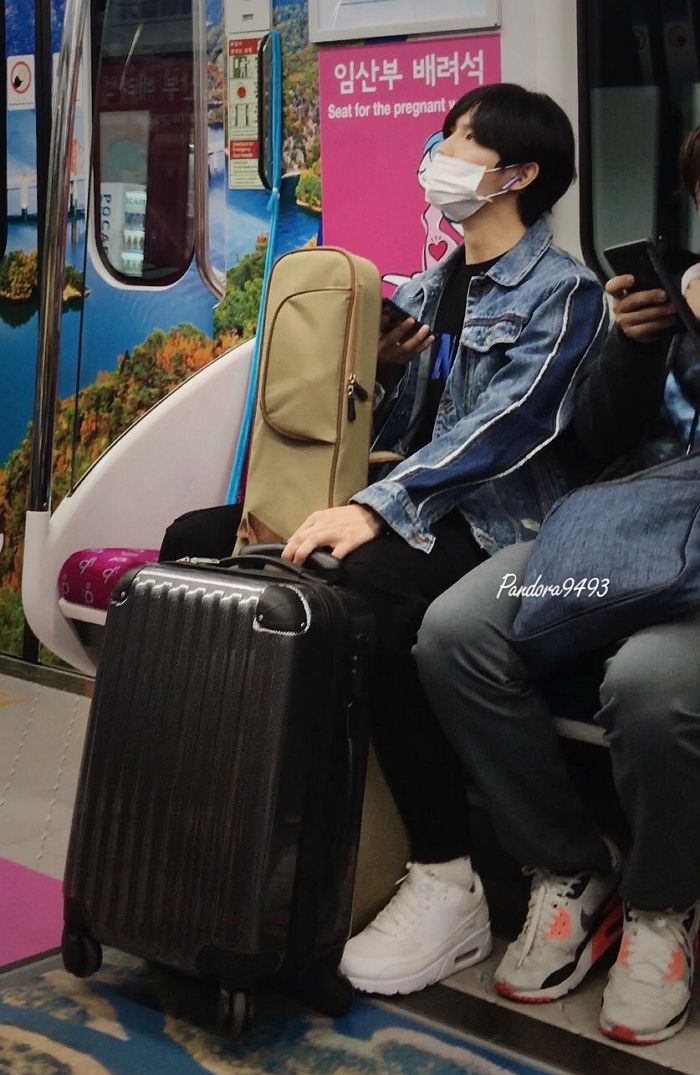 인사이트