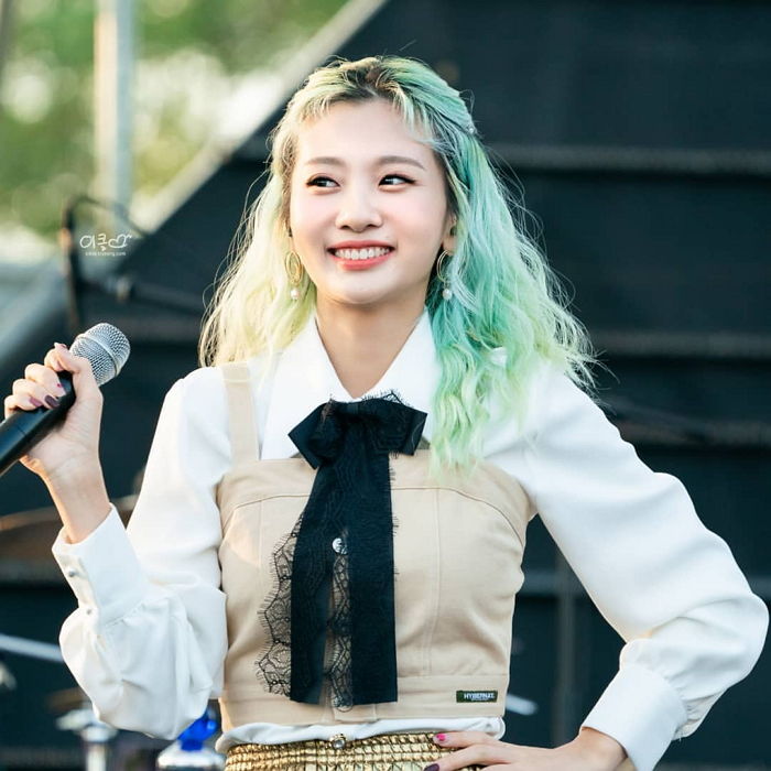 인사이트