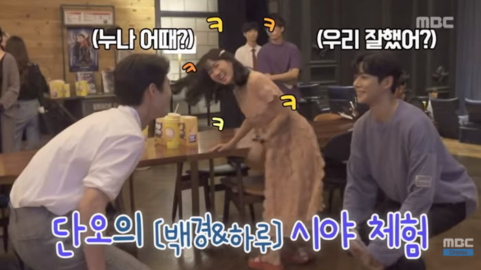 인사이트