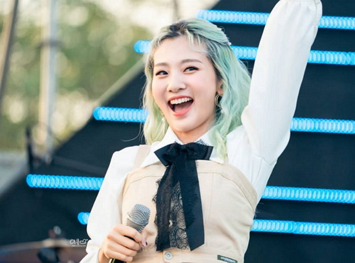 인사이트