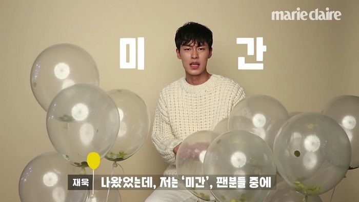인사이트