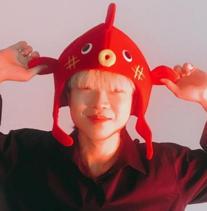 인사이트