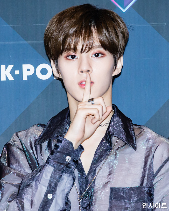 인사이트 / 사진=고대현 기자 daehyun@