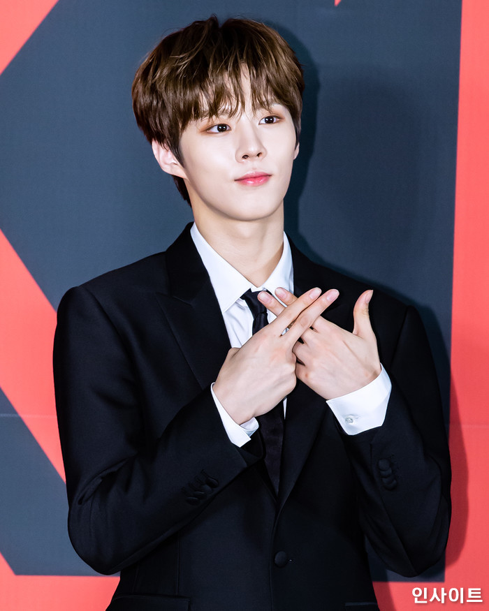 인사이트 / 사진=고대현 기자 daehyun@