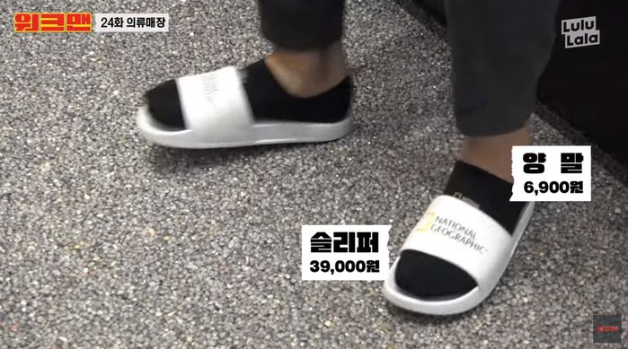 인사이트