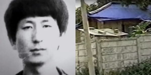 그린자기 이미지