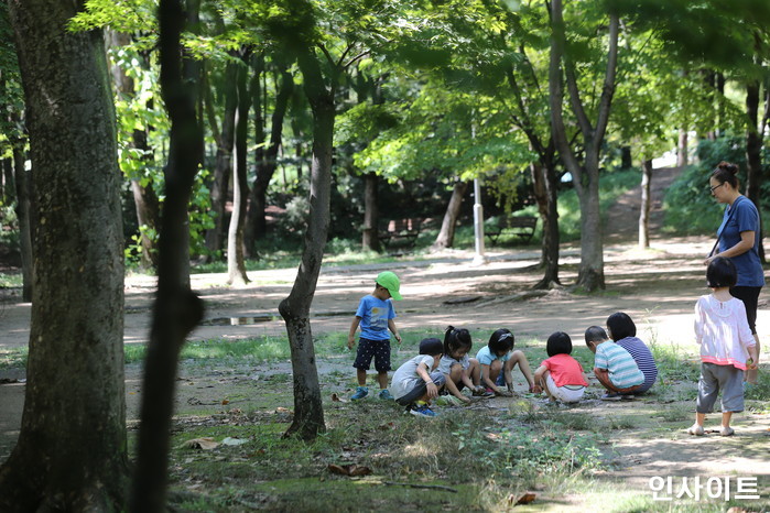 인사이트 / 사진=인사이트