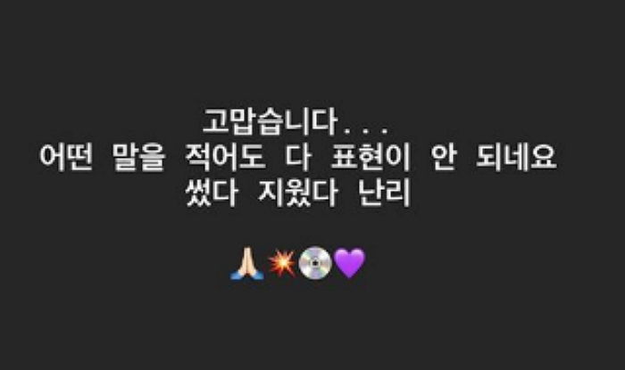 인사이트