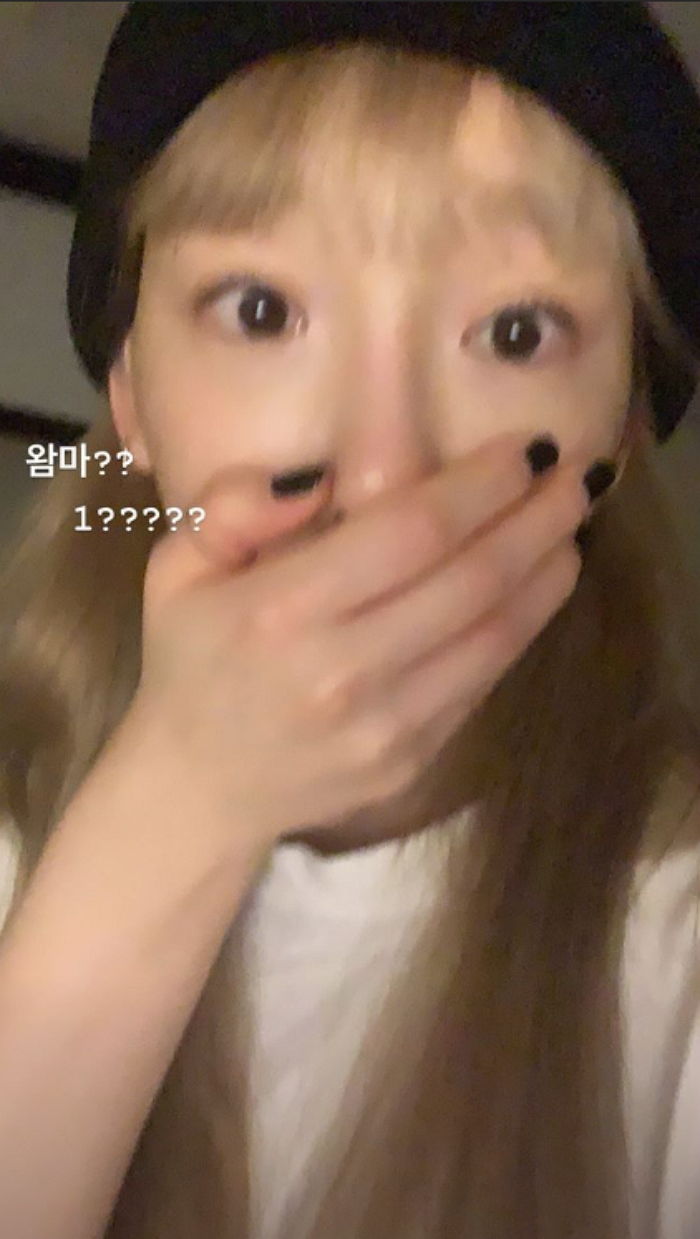 인사이트