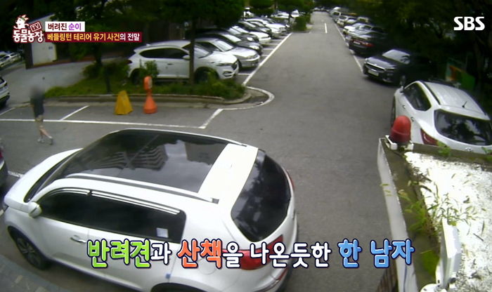 반려견에 종양 생겨 치료비 많이 들자 산책 가는 척 데리고 나와 목줄 놓고 숨어버린 주인