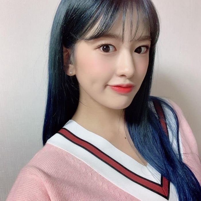 인사이트