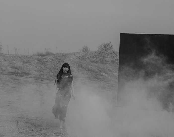 인사이트